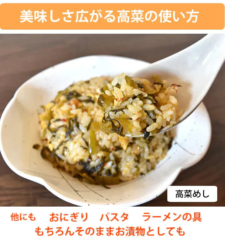 高菜漬 ごま高菜 漬物 600g（150g×4袋） 送料無料 お試し お取り寄せ 宮崎県産 胡麻たかな ポイント消化 つけもの