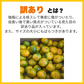 みかん 訳あり 送料無料 2kg 熊本みかん 熊本県産 極早生みかん 蜜柑 ミカン【ご新規さん限定商品】