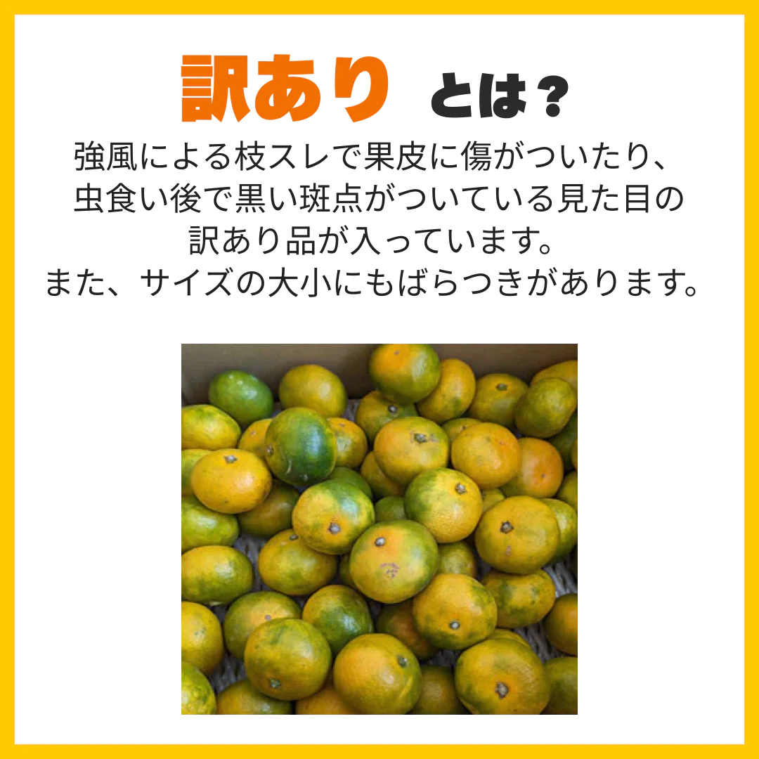 みかん 訳あり 送料無料 2kg 熊本みかん 熊本県産 極早生みかん 蜜柑 ミカン【ご新規さん限定商品】