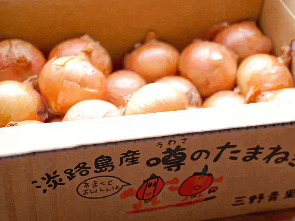【訳あり】(塩栽培)淡路島産ソルティ玉ねぎ5キロ　美味しいさ甘さグー