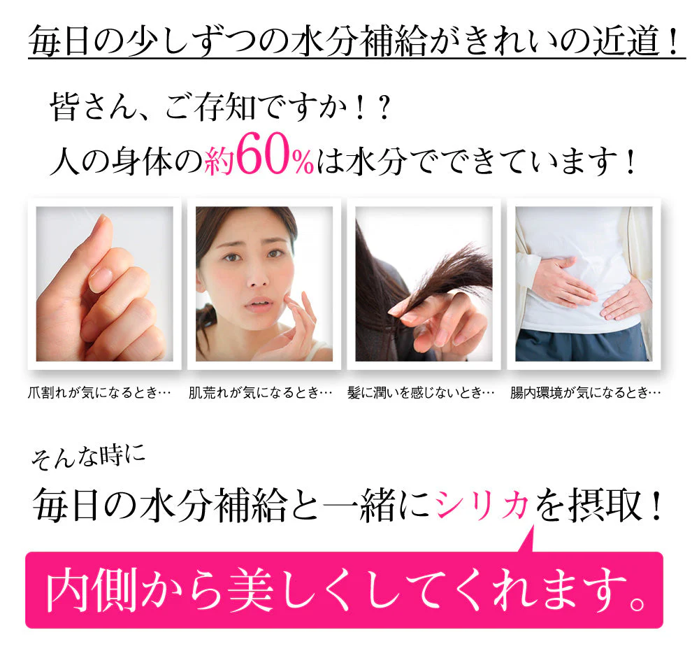 【最安値挑戦祭】シリカ水 500ml 48本 高濃度シリカ水 シリカウォーター 理想のシリカ ミネラルウォーター ケイ素水 天然水 天然シリカ 水 軟水 国産 鳥取県産