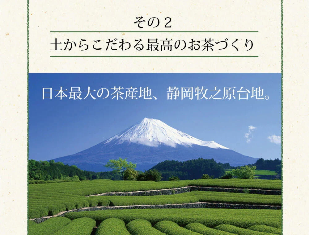 【2個セット】日本橋いなば園 静岡深蒸し茶 掛川茶 100g メール便 送料無料