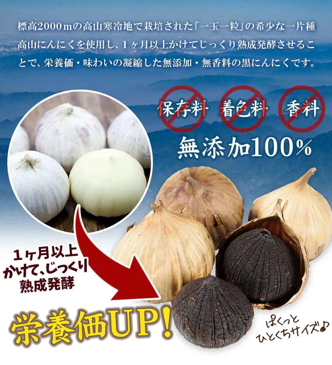 雲南省産 黒にんにく 200g×3袋 希少な一片にんにく使用 一片種にんにく