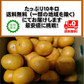 甘夏 訳あり 箱込10kg（9kg+保証分500ｇ）熊本産