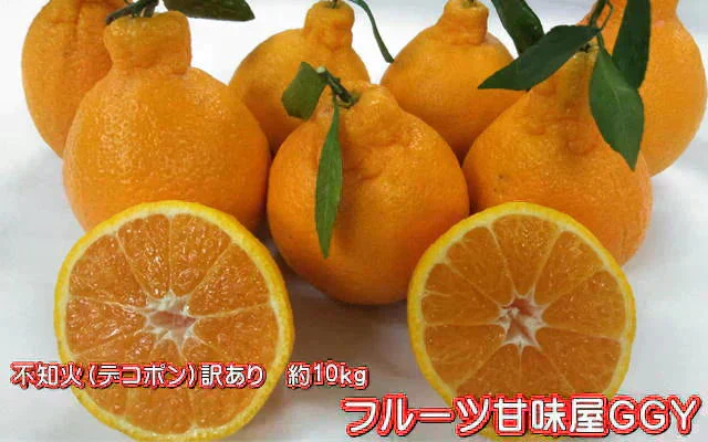 訳あり 不知火 箱込10キロ(9kg+保証分500g) デコポンと同品種 デコみかん 熊本産 送料無料