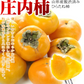 庄内柿 5kg 山形産 ご家庭用