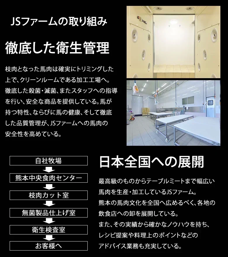 馬刺し 5種 盛り合わせセット 赤身 霜降り フタエゴ バラヒモ たてがみ 送料無料 5人前 250g カナダ産国内肥育 馬刺 熊本直送 ギフト 馬肉 お取り寄せ 肉