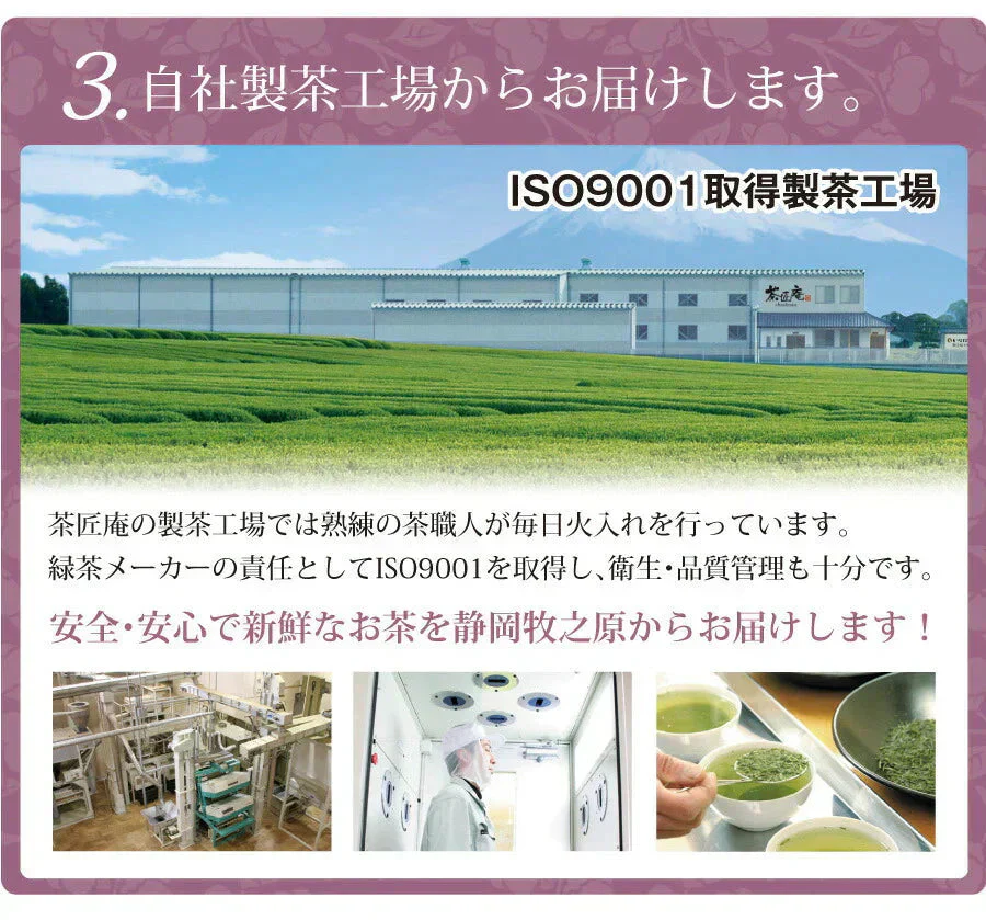 【2個セット】日本橋いなば園 静岡県産 高級深蒸し茶 たくみ 100g メール便 送料無料
