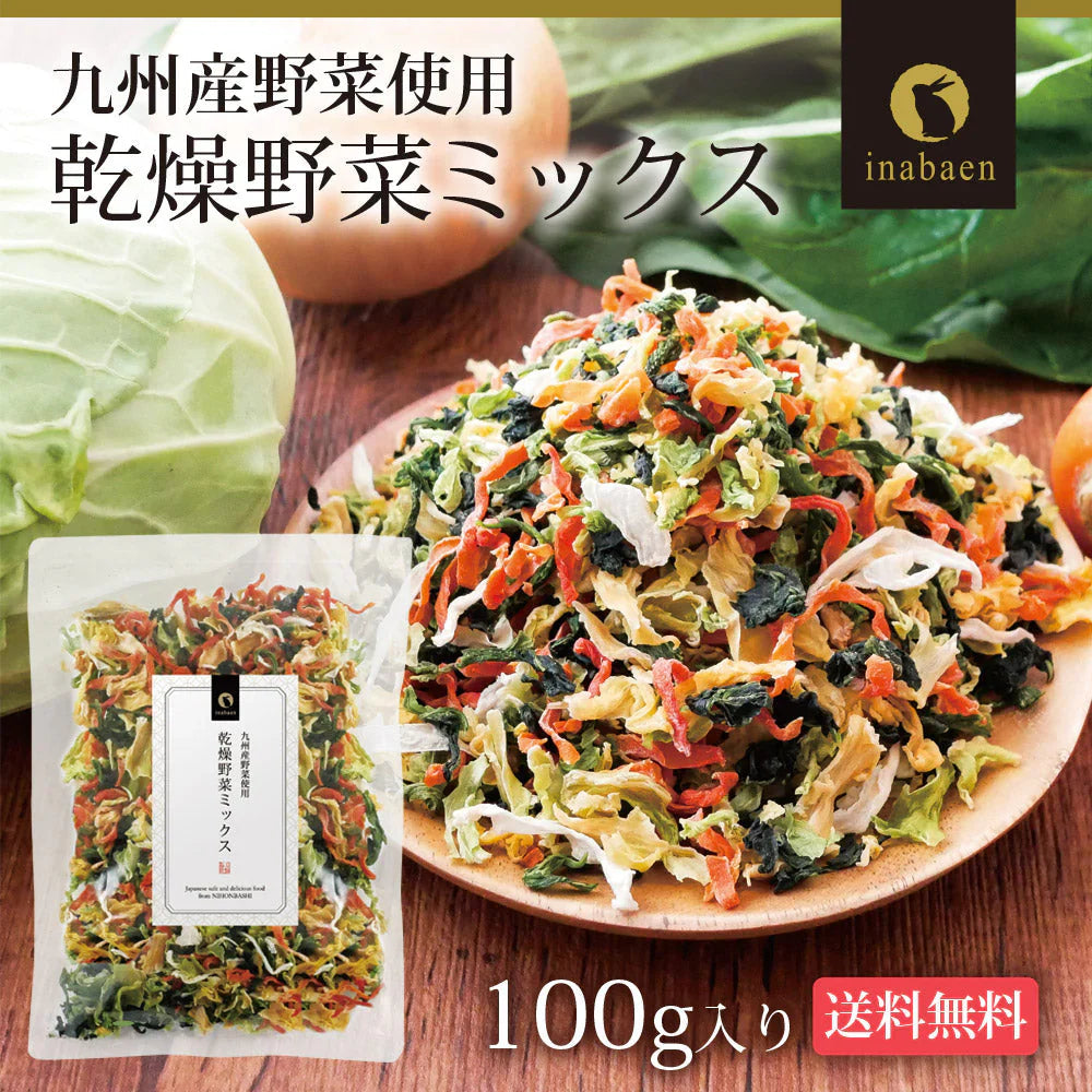日本橋いなば園 九州産野菜使用 乾燥野菜ミックス 100g ネコポス メール便送料無料