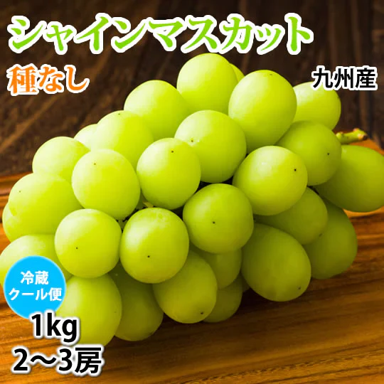 【7月下旬～8月上旬頃より順次出荷】〈クール便でお届け〉 シャインマスカット ぶどう 送料無料 1kg 2〜3房 九州産 マスカット 葡萄 ブドウ