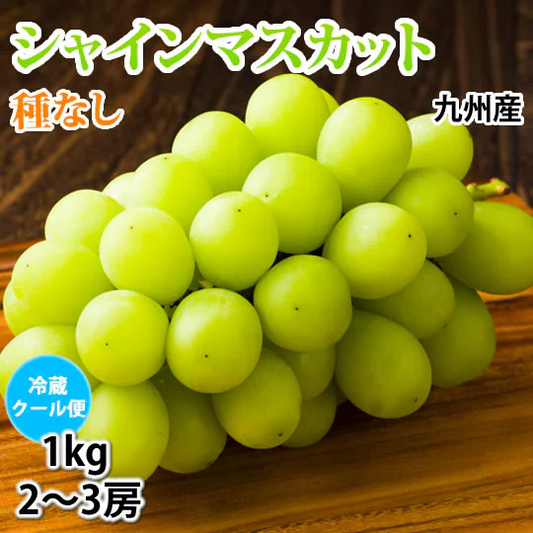 【7月下旬～8月上旬頃より順次出荷】〈クール便でお届け〉 シャインマスカット ぶどう 送料無料 1kg 2〜3房 九州産 マスカット 葡萄 ブドウ