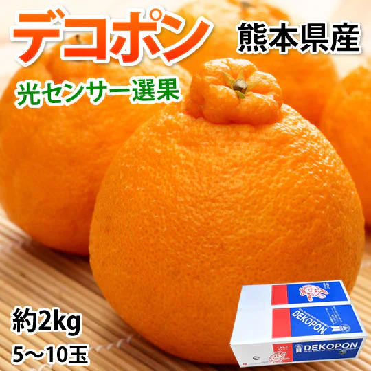 デコポン 約2kg ハウス栽培 光センサー選果 みかん 御歳暮 ギフト 送料無料 DEKOPON 熊本県産 不知火 フルーツ お取り寄せ 蜜柑 ミカン