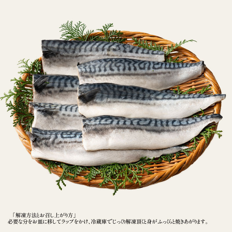 さば 無添加 無塩 トロさば サバ 鯖 約1kg(6〜8尾）トロ鯖 海鮮 天然 美味しい 魚 魚介 海産物 おかず おつまみ 乾き物 酒の肴 贈り物 お取り寄せグルメ 食べ物 おいしい 絶品