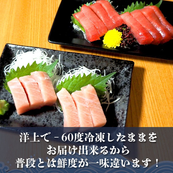 無添加 食べ比べ 大中 トロ セット　計６００ｇ（300ｇずつ） 極上 お刺身 無添加 トロ マグロ まぐろ 天然 国産 ギフト お取り寄せ グルメ お祝い