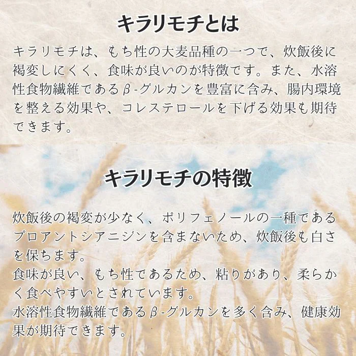 ★キラリモチ / もち麦　10kg（5kg×2パック）　令和7年岡山県産