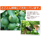 4つ星セット (かぼす果汁/赤しそジュース無糖・果糖)