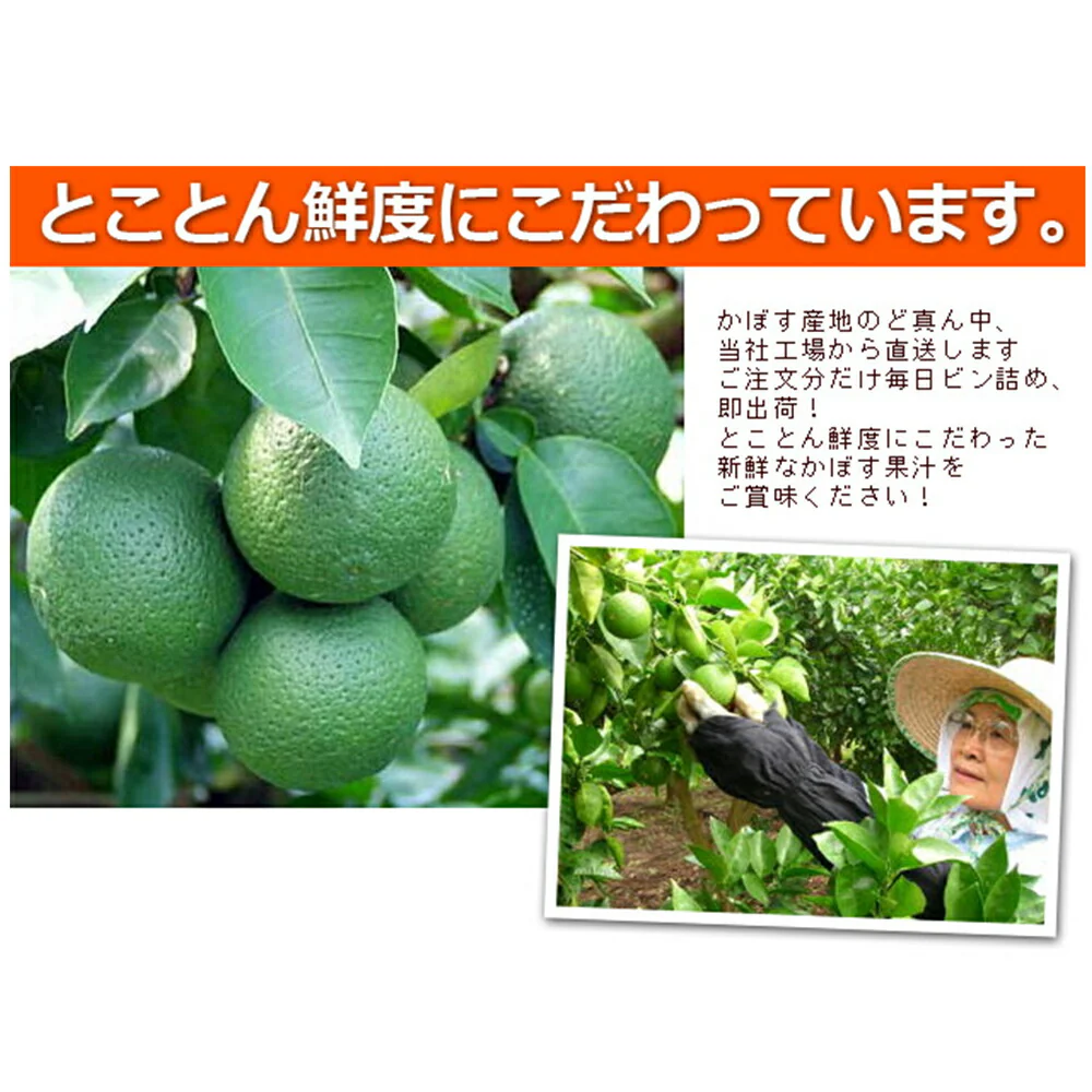 4つ星セット (かぼす果汁/赤しそジュース無糖・果糖)