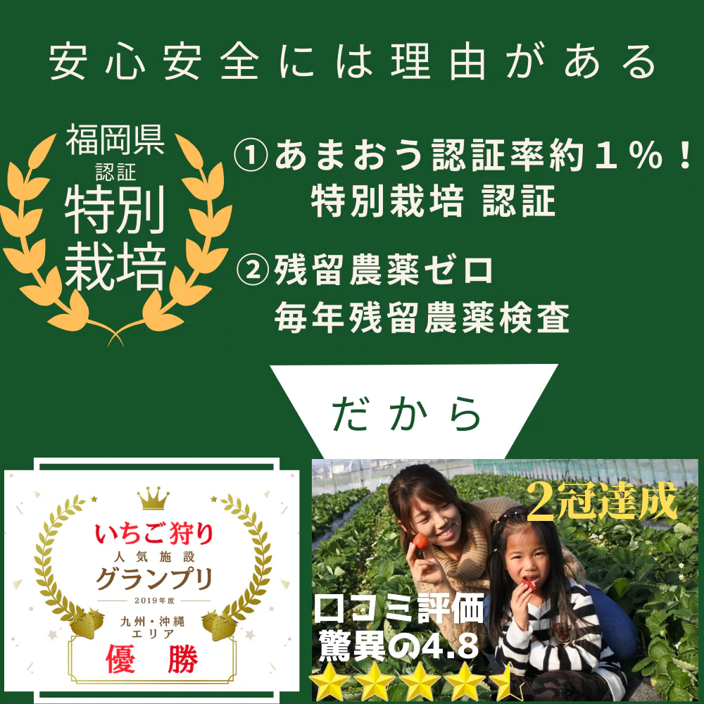 福岡特別栽培認定品！訳あり！冷凍あまおういちご　2ｋｇセット（1000ｇ×2ｐ）】イチゴ ギフト 送料無料 あまおう　業務用 冷凍 いちご　デザート　スイーツ お取り寄せ お取り寄せグルメ 北海道と沖縄を除き 【送料無料】