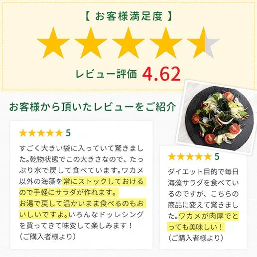 寒天海藻サラダ メガ盛260g（チョレギサラダの塩だれドレッシングつき） 送料無料