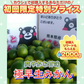 熊本産 みかん 訳あり 約1.5kg ご家庭用 60サイズ　送料無料 【ご新規さん限定商品】