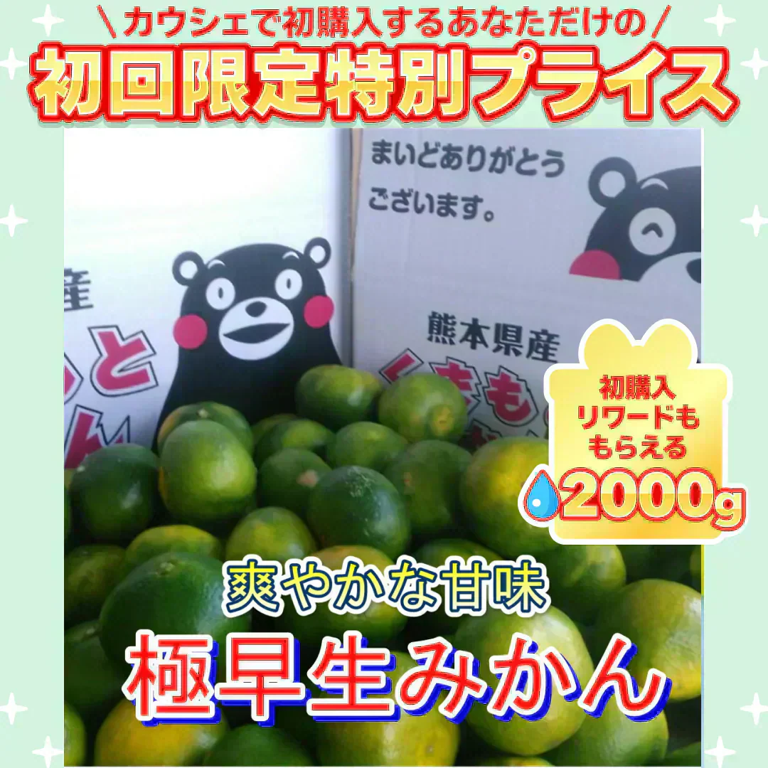 熊本産 みかん 訳あり 約1.5kg ご家庭用 60サイズ　送料無料 【ご新規さん限定商品】