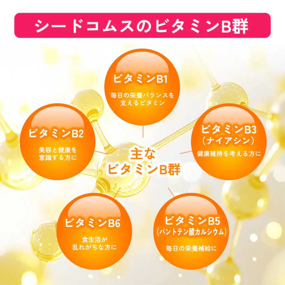 ビタミンB群《約3ヶ月分》チアミン硝酸塩/リボフラビン/ナイアシン/ニコチン酸アミド/ピリドキシン塩酸塩