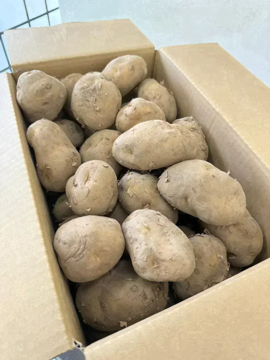 訳あり・規格外北海道じゃがいも 5kg【ご新規さん限定商品】