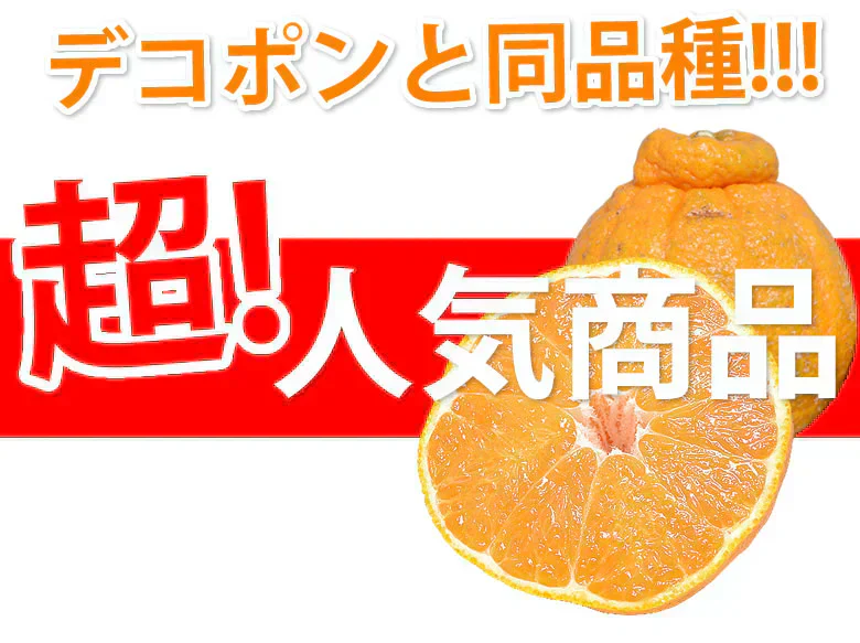 デコポン 同品種 訳ありデコみかん 1.5kg 送料無料 熊本県産 フルーツ みかん ミカン 蜜柑