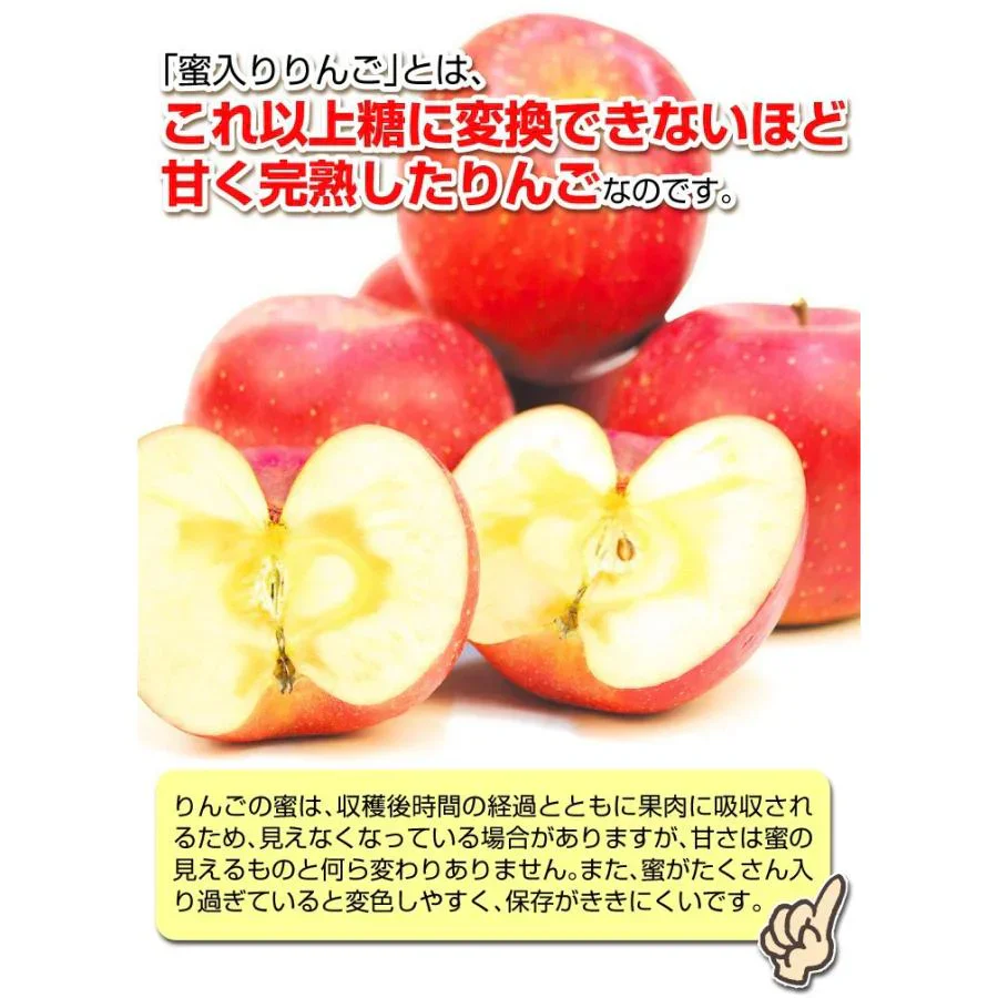 りんご 蜜入りサンふじ 山形産 10kg （発送予定：12月上旬より）
