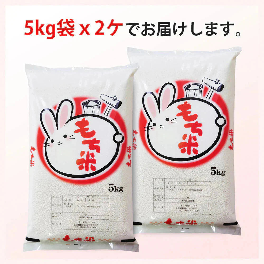 もち米 10kg (5kg×2袋) 山形県産 ヒメノモチ 令和7年産 餅米 国内産 新米