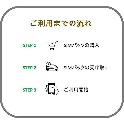 プリペイド SIM 格安 データ100G/月 1年間プラン 高速データ100GB 中速無制限 国内使用 契約不要 解約不要 手続き不要 データ通信SIM 4G