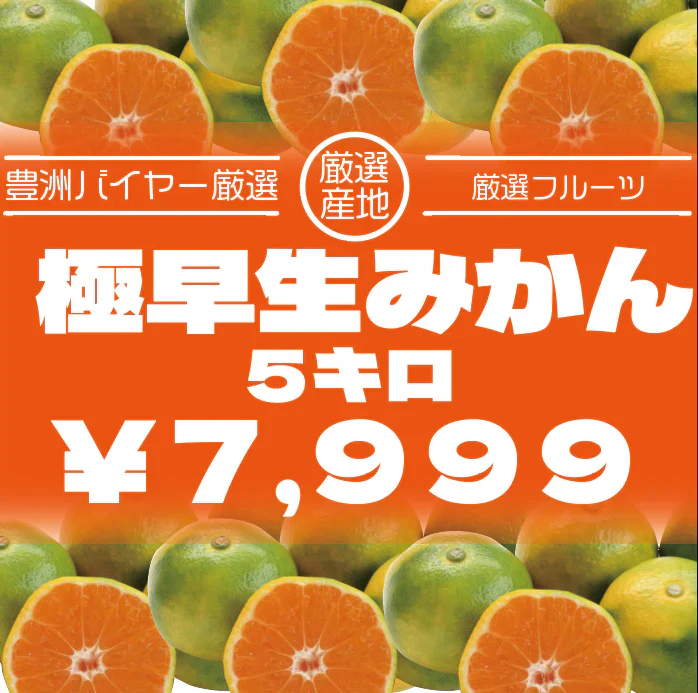 【旬の走り！大人気極甘みかん！５キロ！極早生みかん】豊洲市場　みかん　旬