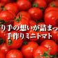 予約【１月前後から発送開始】お試し＼特別栽培農産物／ソムリエミニトマト　プラチナ　３９０ｇ