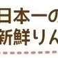 【 予約受付中 】青森県産 訳あり 葉とらず 王林 りんご 約5kg ※11月上旬頃から予約順発送※