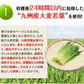 朝摘み もぎたて 青汁 大麦若葉 90g(3g×30包) 送料無料 美味しい 飲みやすい 青汁 乳酸菌 プラセンタ 食物繊維 ダイエット 甘い青汁《3-7営業日以内発送(土日祝除く)》
