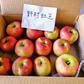 新品種 野村紅玉 やや強めの酸味で美味しい 料理に最適 冷蔵保存で４月下旬まで２．５kg 約１２個 訳あり【6126】