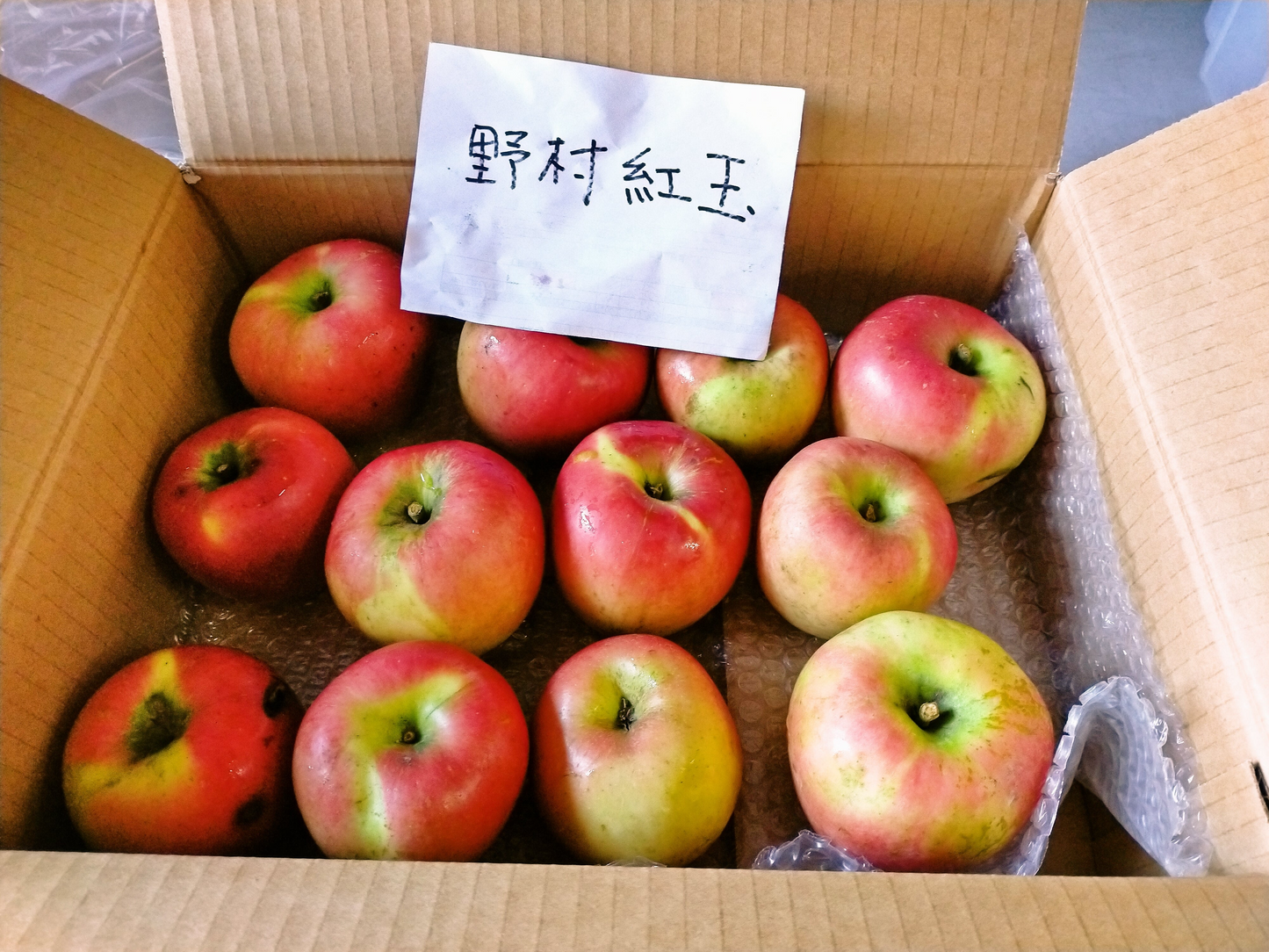 新品種 野村紅玉 やや強めの酸味で美味しい 料理に最適 冷蔵保存で４月下旬まで２．５kg 約１２個 訳あり【6126】