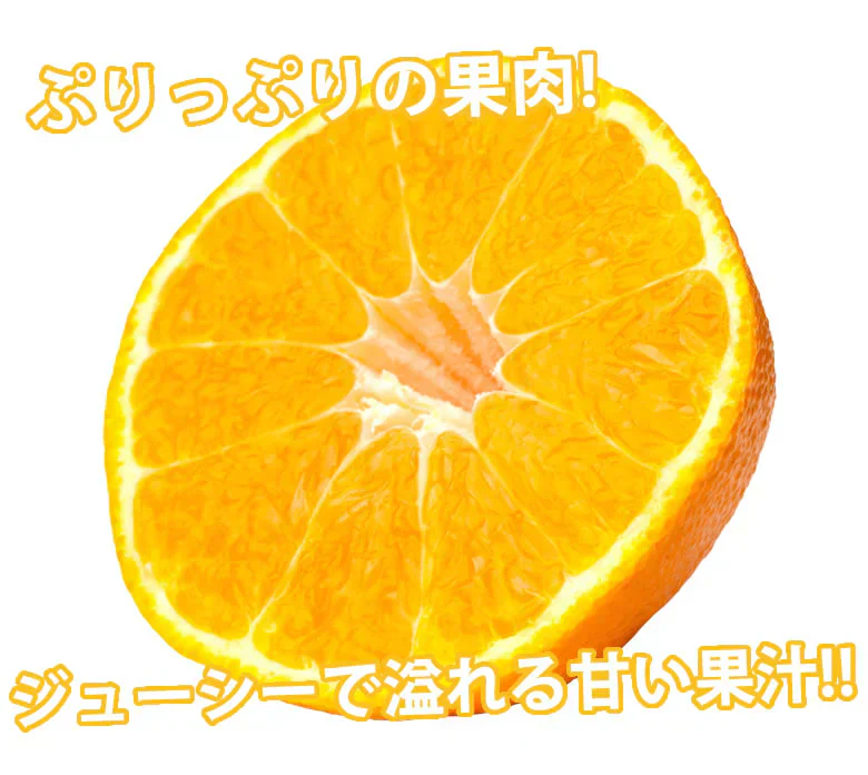 デコポン 約2kg ハウス栽培 光センサー選果 みかん 御歳暮 ギフト 送料無料 DEKOPON 熊本県産 不知火 フルーツ お取り寄せ 蜜柑 ミカン