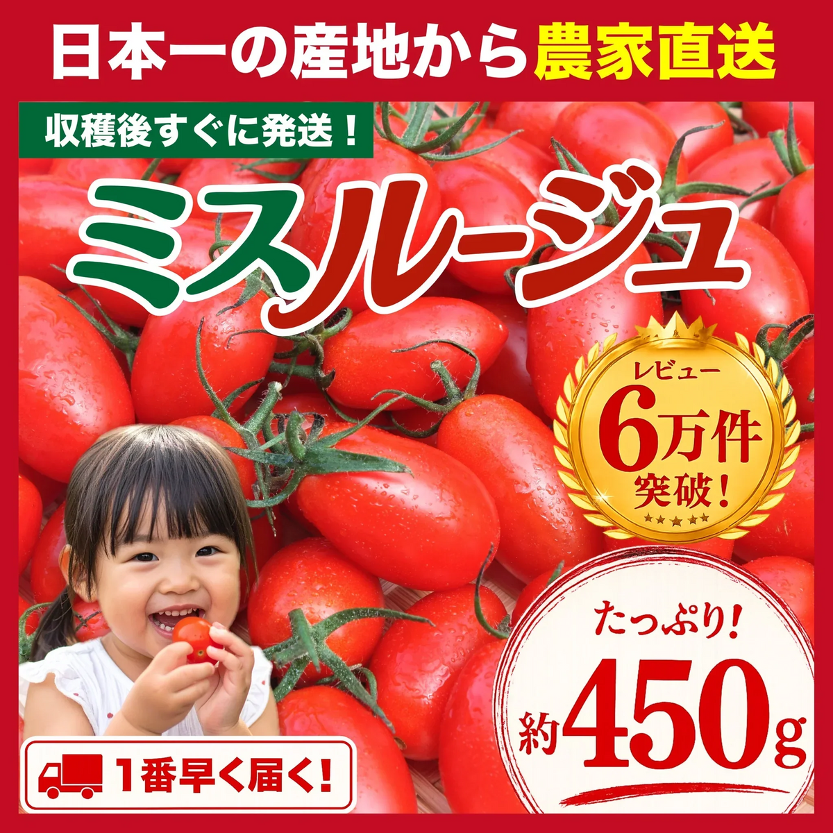 【１番早く届く！】【10月中旬頃〜12月末日までに発送】【予約】１番多い約450g！ミスルージュ ミニトマト(280~300g+保証分150g)日本一の産地から農家直送 熊本県産 野菜 青果 フルーツ【カウシェファーム収穫対象商品】