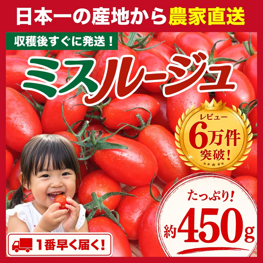 【１番早く届く！】【10月中旬頃〜12月末日までに発送】【予約】１番多い約450g！ミスルージュ ミニトマト(280~300g+保証分150g)日本一の産地から農家直送 熊本県産 野菜 青果 フルーツ【カウシェファーム収穫対象商品】