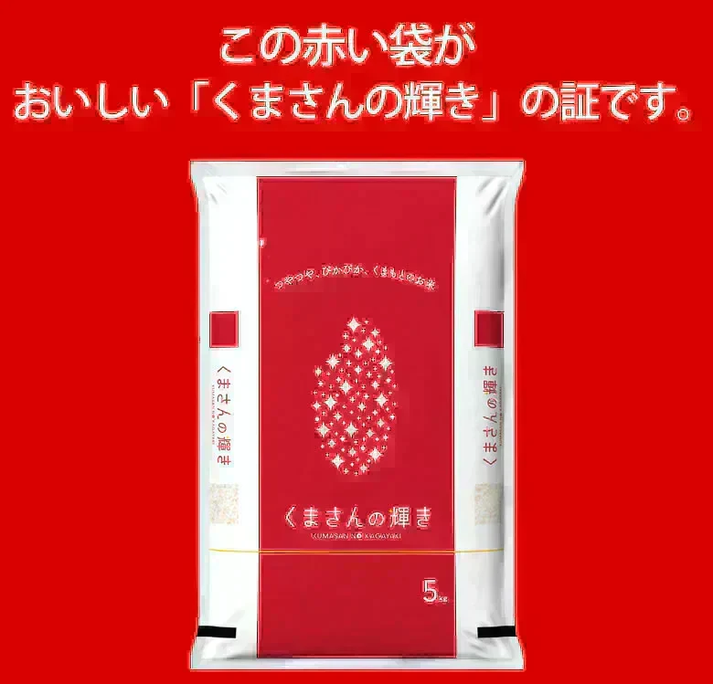 米 くまさんの輝き 【無洗米300g】 白米 送料無料  お試し 令和7年産 熊本県産 お米 白米 玄米 コシヒカリ ヒノヒカリ 森のくまさん