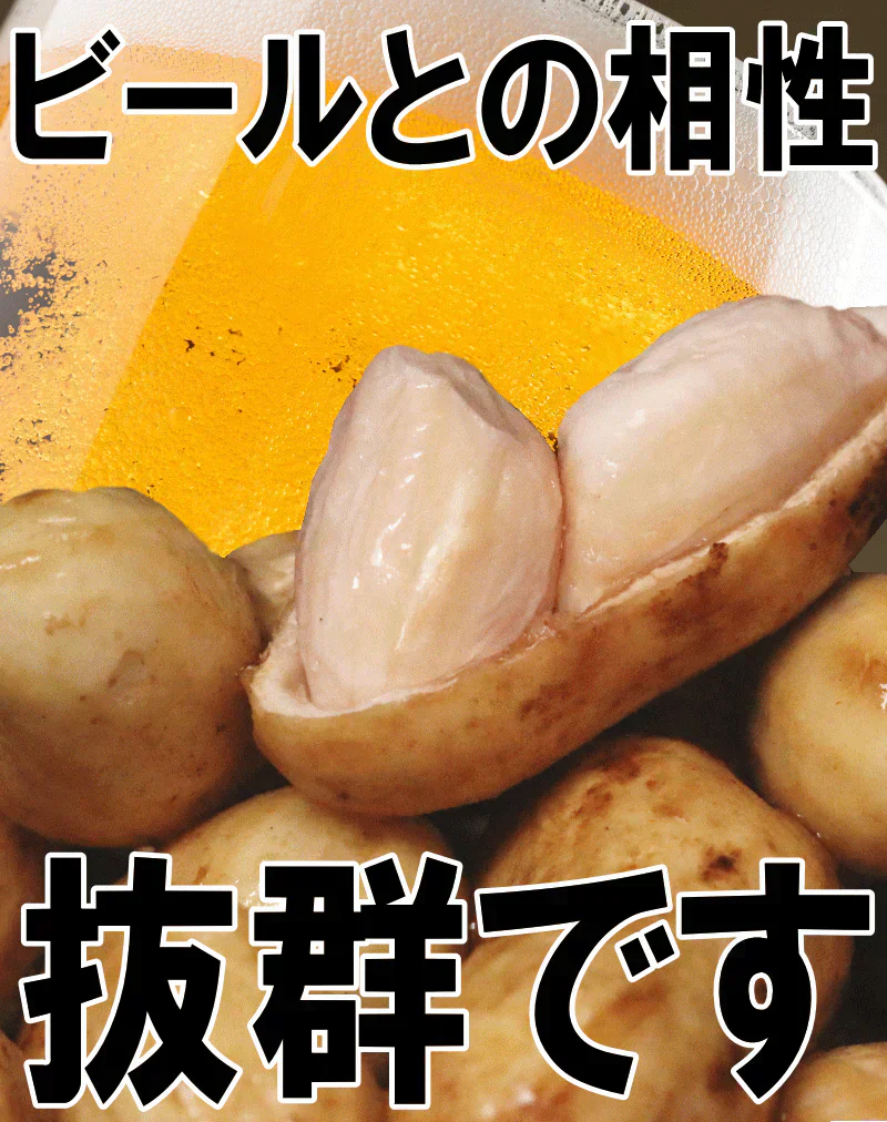 【数量限定】千葉県産　おおまさり　生落花生　1㎏　有機栽培