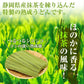 【先着30購入限定】抹茶が香る…茶うどんセット3袋6人前【1袋たっぷり200ｇ（100ｇ ×2束入り）】合計600ｇ