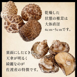 原木しいたけ 椎茸 肉厚 完全無農薬栽培 新潟県 佐渡産 60g
