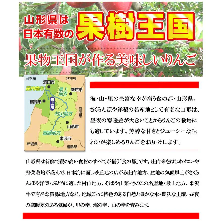 りんご 蜜入りサンふじ 山形産 5kg （発送予定：12月上旬より）