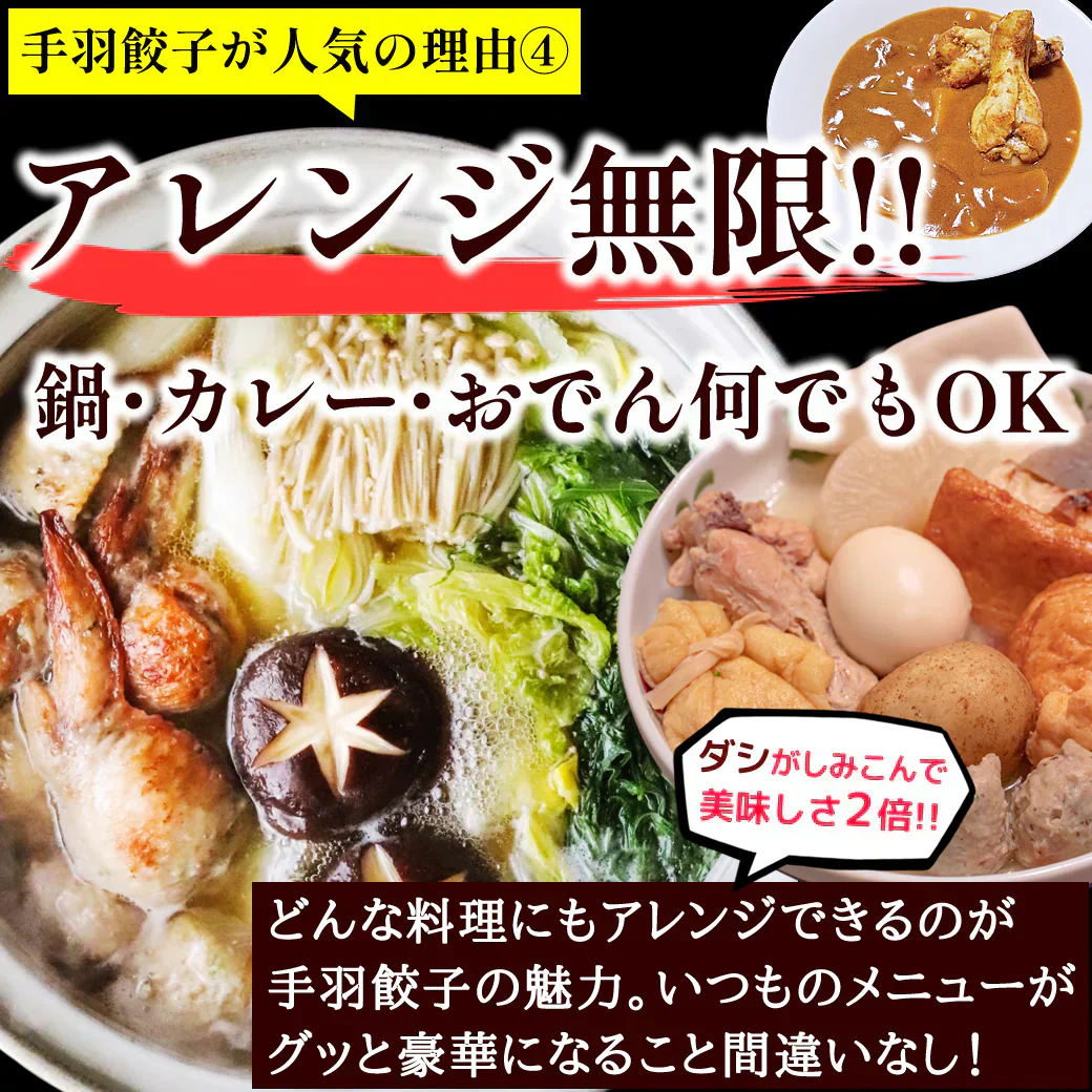 8秒に1本売れてる！手羽餃子 20本入 冷凍 餃子 国産鶏肉 惣菜 おかず 簡単調理 お取り寄せ グルメ 手羽先餃子 ビール おつまみ BBQ 人気 点心 送料無料