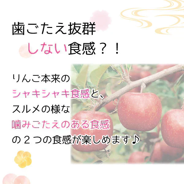 【しないりんご 紅玉４0g×2】 青森県産 乾燥りんご しないりんご 紅玉４0g×2