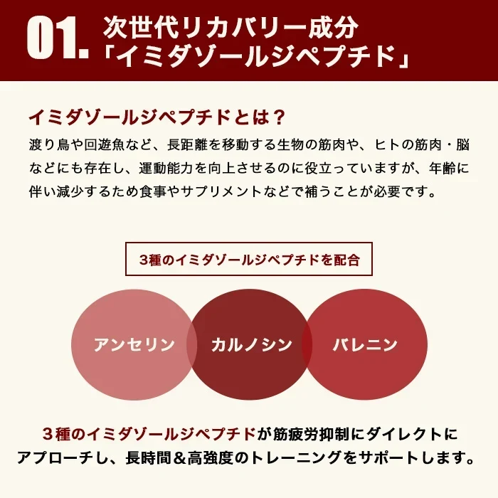 EAA 1kg エナジードリンク 人工甘味料が気になる方 オールインワン 国内製造 フレーバー (OgarMade) オーガーメイド