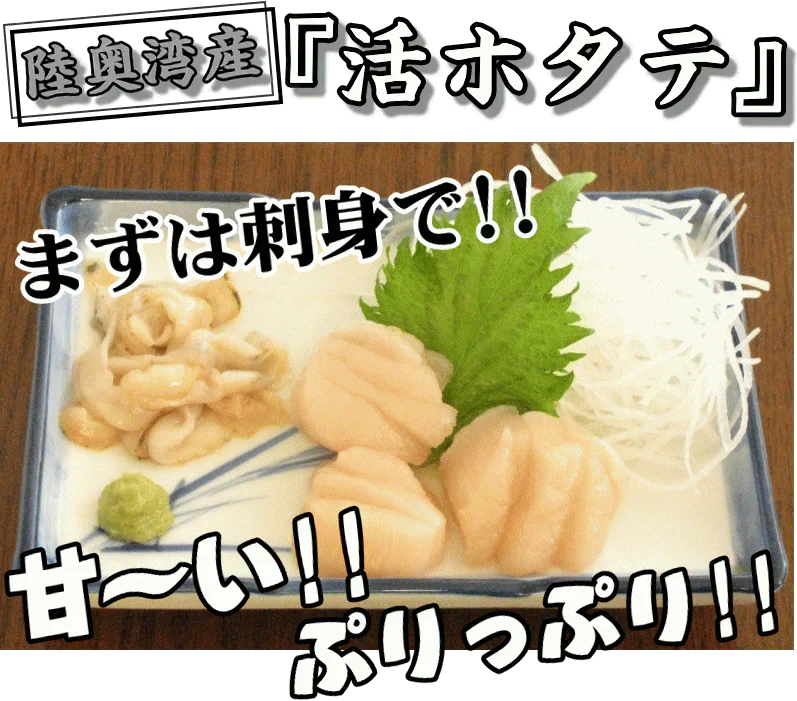 青森 活ほたて 殻付き 中大2キロ（約12枚～18枚）【冷蔵便】 養殖　奇跡の海『むつ湾』からホタテ漁師が贈る逸品