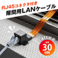 隙間用 LANケーブル 30cm 中継 延長 フラットケーブル RJ45 配線 工事不要 CAT5対応 100BASE-TX 高速伝送 100Mbps 屋内 屋外 家 オフィス 窓 ドア サッシ
